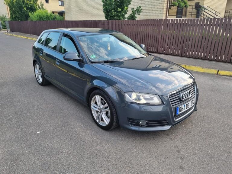 217651812_908681129992504_6170191483813765713_n