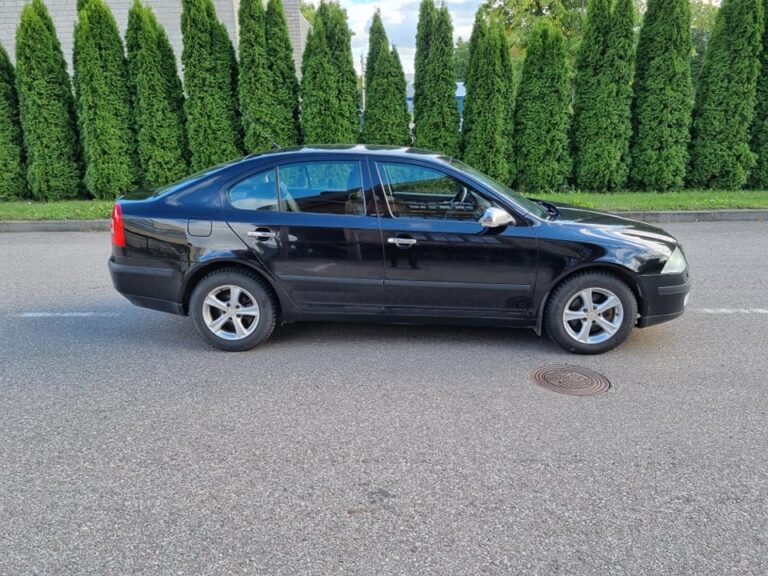 241634575_944533246407292_6412435097425995757_n